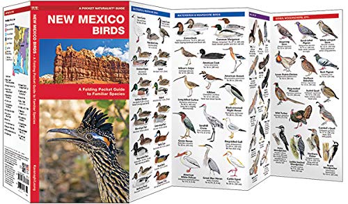 New Mexico Birds: A Folding Pocket Guide to Familiar Species (Wildlife and Nature Identification)