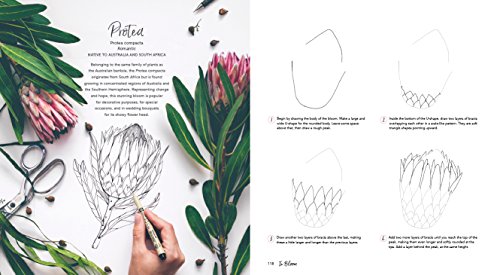 In Bloom: A Step-by-Step Guide to Drawing Lush Florals