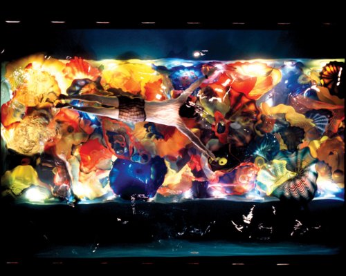 Chihuly: Through the Looking Glass