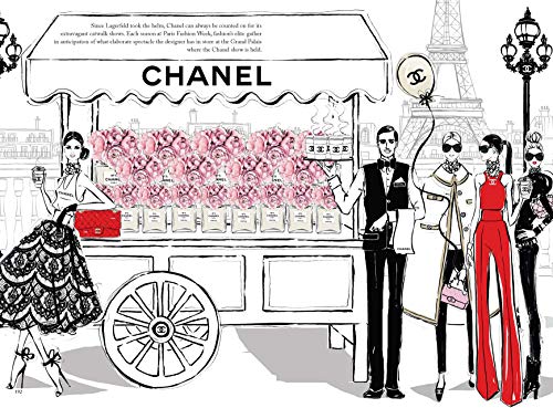 Coco Chanel: The Illustrated World of a Fashion Icon