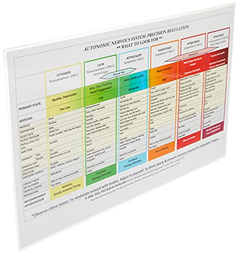 Autonomic Nervous System Table: Laminated Card