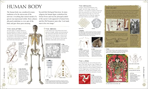 Signs and Symbols: An Illustrated Guide to Their Origins and Meanings (DK Compact Culture Guides)