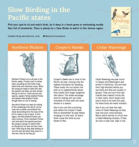 Slow Birding: The Art and Science of Enjoying the Birds in Your Own Backyard