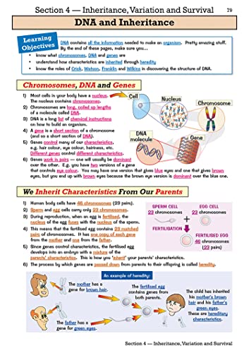 KS3 Biology Study & Question Bk & Online