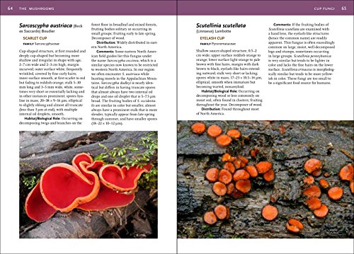 Mushrooms of the Southeast (A Timber Press Field Guide)