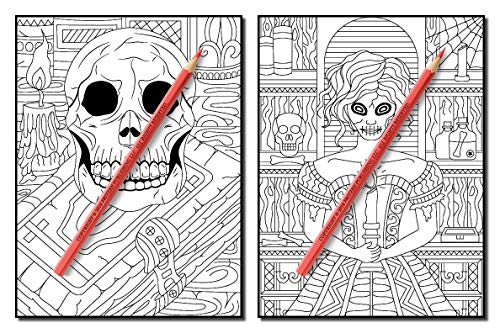 Haunted House: An Adult Coloring Book with Scary Monsters, Creepy Scenes, and a Spooky Adventure