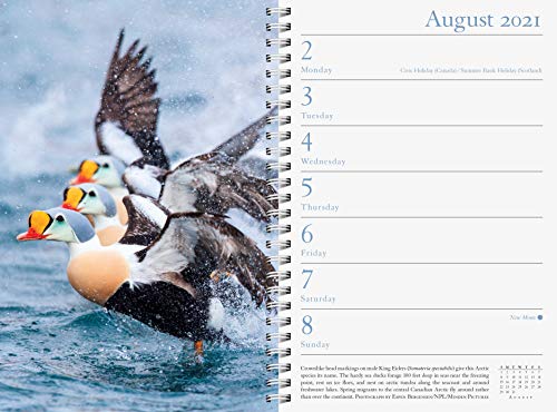 Audubon Engagement Calendar 2021