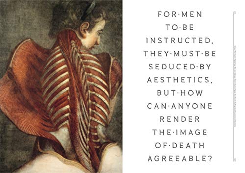 The Anatomical Venus /anglais