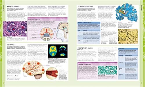 The Human Brain Book: An Illustrated Guide to its Structure, Function, and Disorders (DK Human Body Guides)