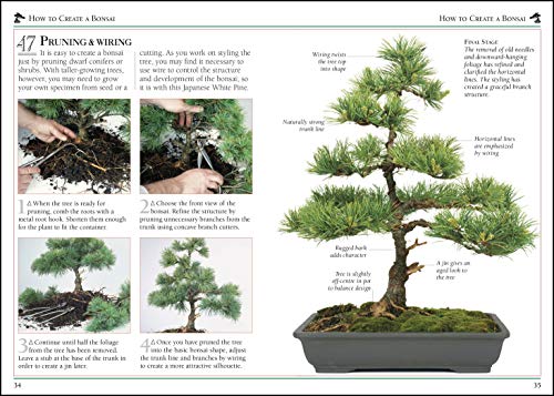 101 Essential Tips Bonsai: Breaks Down the Subject into 101 Easy-to-Grasp Tips