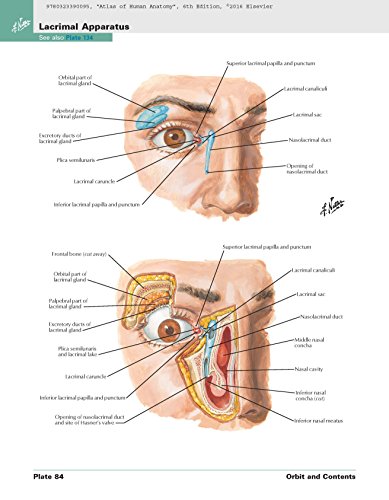 Atlas of Human Anatomy: Including Student Consult Interactive Ancillaries and Guides (Netter Basic Science)