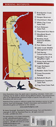 Delaware Birds: A Folding Pocket Guide to Familiar Species (Wildlife and Nature Identification)