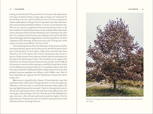 The Nature of Oaks: The Rich Ecology of Our Most Essential Native Trees