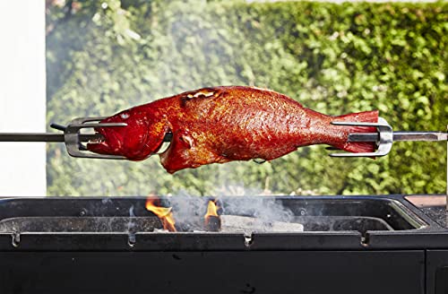 Take One Fish: The New School of Scale-to-Tail Cooking and Eating