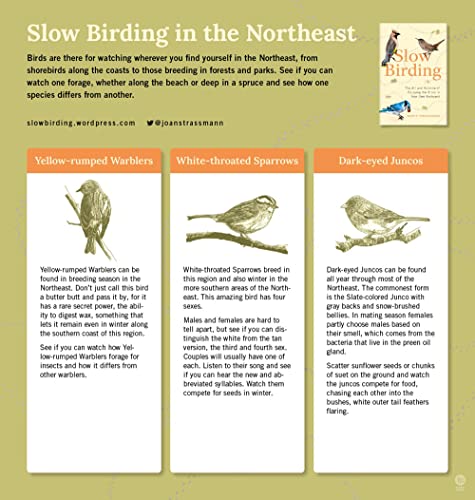 Slow Birding: The Art and Science of Enjoying the Birds in Your Own Backyard