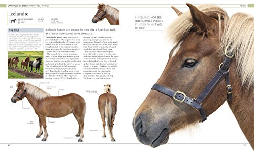 Horse Encyclopedia