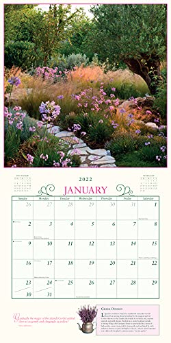 Secret Garden Wall Calendar 2022: A year of photographs that transport you to a garden sanctuary.