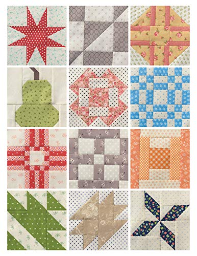 Sampler Spree: 100+ Fresh & Fun Quilt Blocks