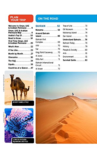 Lonely Planet Oman, UAE & Arabian Peninsula (Multi Country Guide)