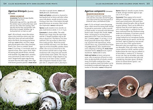 Mushrooms of the Northeastern United States and Eastern Canada (A Timber Press Field Guide)