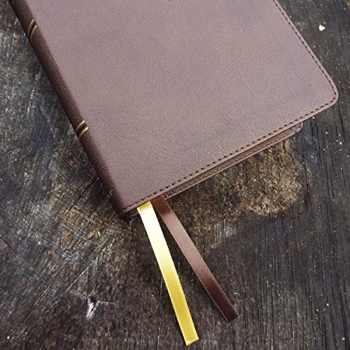 NIV, Larger Print Compact Bible, Leathersoft, Brown, Red Letter, Comfort Print