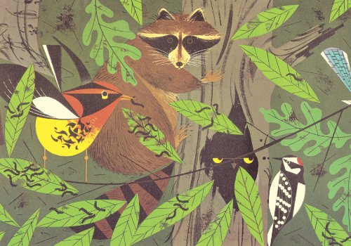 Charley Harper: An Illustrated Life