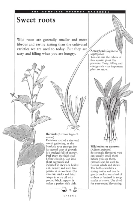 Ray Mears Outdoor Survival Handbook: A Guide to the Materials in the Wild and How To Use them for Food, Warmth, Shelter and Navigation