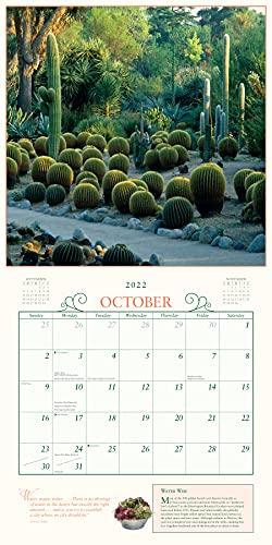 Secret Garden Wall Calendar 2022: A year of photographs that transport you to a garden sanctuary.