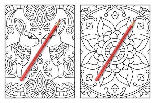 100 Magical Patterns: An Adult Coloring Book with Fun, Easy, and Relaxing Coloring Pages