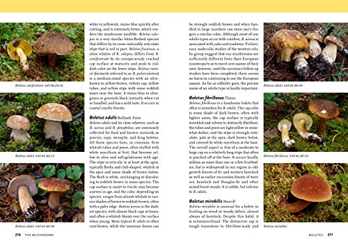 Mushrooms of the Pacific Northwest (A Timber Press Field Guide)