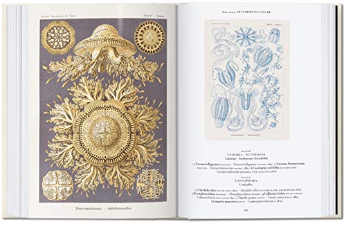 The Art and Science of Ernst Haeckel. 40th Ed.