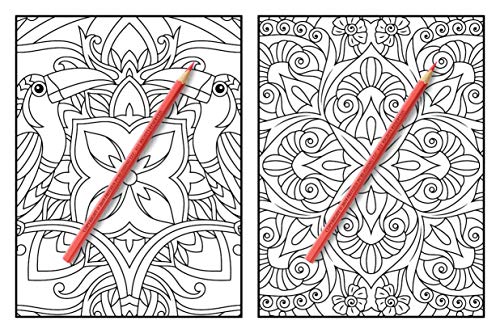 100 Magical Patterns: An Adult Coloring Book with Fun, Easy, and Relaxing Coloring Pages