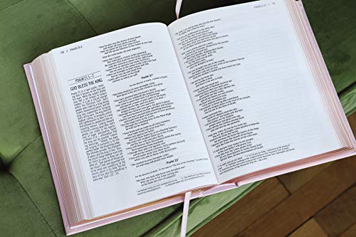 The Jesus Bible, NIV Edition, Leathersoft over Board, Pink, Comfort Print