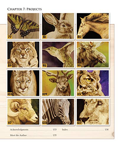 Woodburning Realistic Animals: 12 Step-by-Step Pyrography Projects of Birds, Pets, and Wildlife (Fox Chapel Publishing) Tutorials for Eyes, Fur, Manes, & Whiskers; Projects for Big Cats, Owls, & More