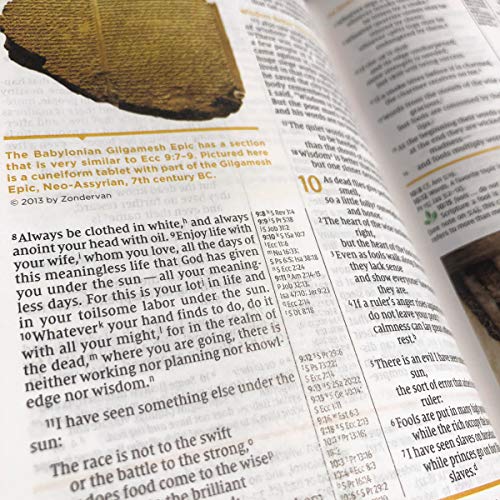 NIV Study Bible, Fully Revised Edition, Large Print, Hardcover, Red Letter, Comfort Print