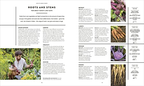 The Vegetable Grower's Handbook: Unearth Your Garden's Full Potential