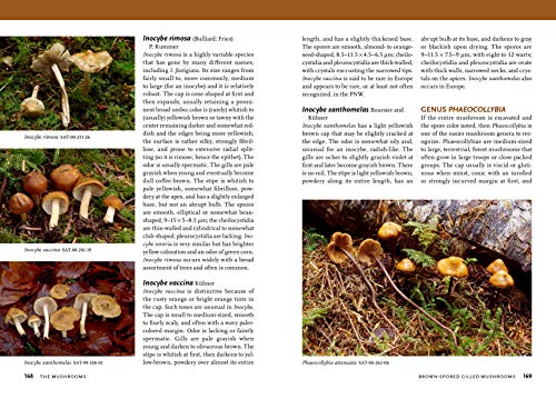 Mushrooms of the Pacific Northwest (A Timber Press Field Guide)