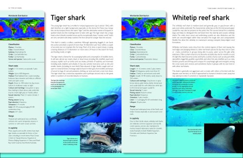 The Encyclopedia of Sharks