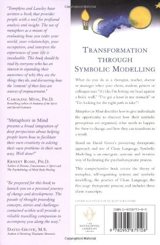 Metaphors in Mind: Transformation through Symbolic Modelling