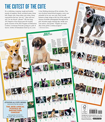 365 Puppies-A-Year Picture-A-Day Wall Calendar 2021