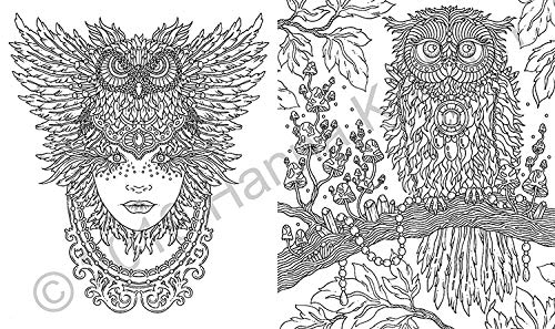 Spirit Animals Coloring Book: Published in Sweden as "Själsfränder"