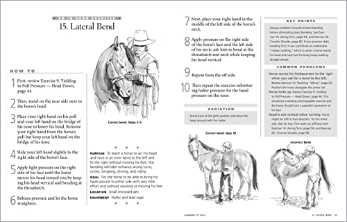 101 Ground Training Exercises for Every Horse & Handler (Read & Ride)