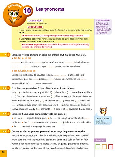 Français CM2: cahier d'entraînement et de révision (French Edition)