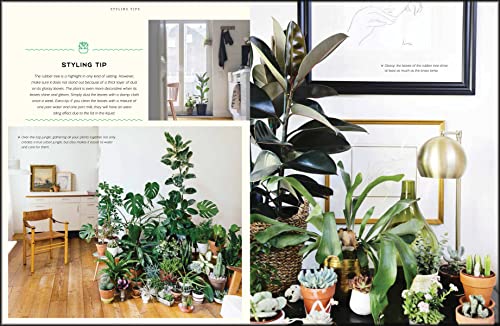 Urban Jungle: Living and Styling with Plants