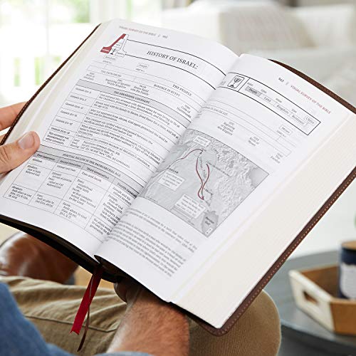 The NKJV, Open Bible, Leathersoft, Brown, Red Letter, Comfort Print: Complete Reference System