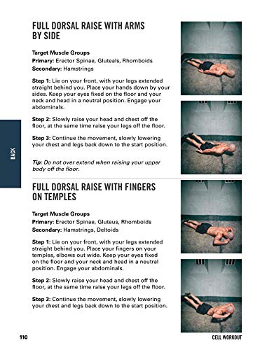 Cell Workout