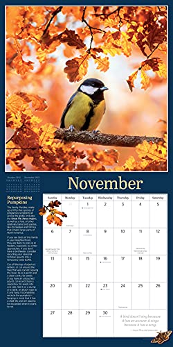 Audubon Birds in the Garden Wall Calendar 2022