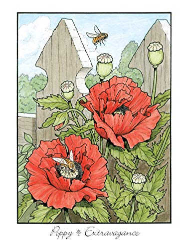 Creative Haven The Beautiful Language of Flowers Coloring Book: Relax & Unwind with 31 Stress-Relieving Illustrations (Creative Haven Coloring Books)