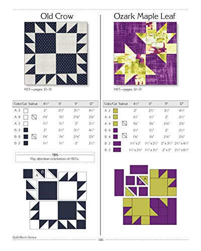 Quilt Block Genius, Expanded Second Edition: Over 300 Pieced Quilt Blocks to Make 1001 Blocks with No Math Charts (Landauer) Mini Quilts, Settings, Sampler Patterns, & Tips to Create Your Own Block