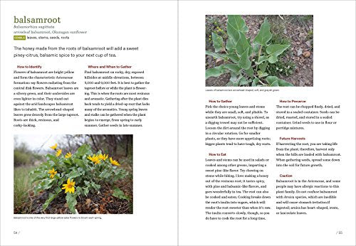 Mountain States Foraging: 115 Wild and Flavorful Edibles from Alpine Sorrel to Wild Hops (Regional Foraging Series)